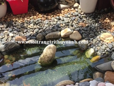 Sỏi trang trí hồ cá