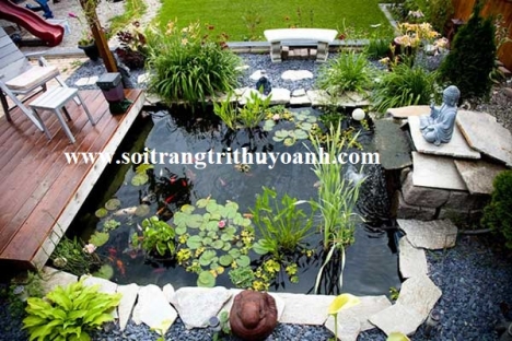 Sỏi trang trí hồ cá