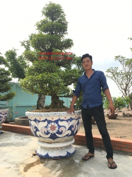 Nghệ nhân dán miễng sành sứ - ốp sành - chuyên chậu hoa - bể cá cảnh thủ công