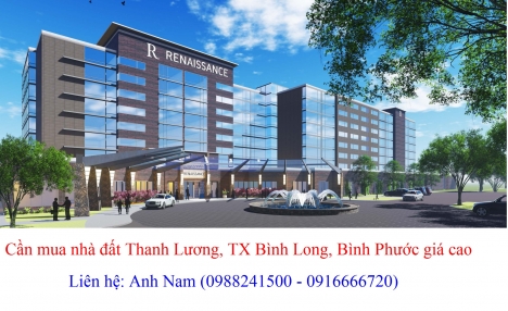 Cần mua gấp đất Lộc Ninh, Bình Phước giá cao, mua chính chủ, thiện chí mua, chịu phí