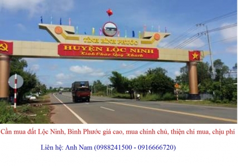 Cần mua đất Lộc Ninh, xã Lộc Điền giá cao, thiện chí mua, chịu phí sang tên