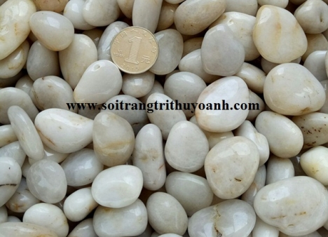 Sỏi trang trí lối đi sân vườn