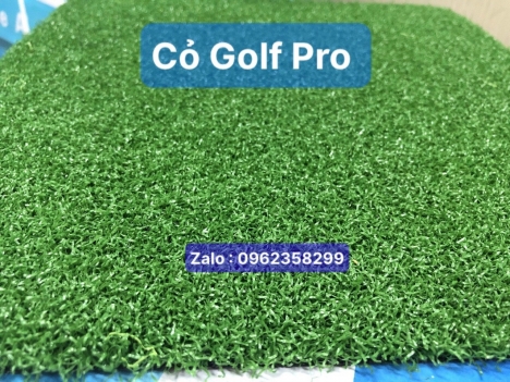 Cỏ golf pro