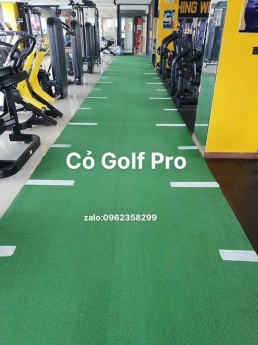 Cỏ golf pro