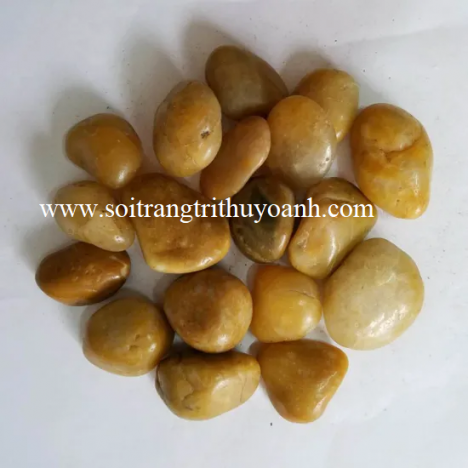 Sỏi vàng bóng độ bóng cao