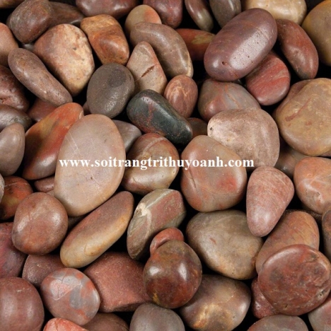 Sỏi trang trí tiểu cảnh