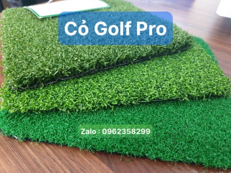 Cỏ golf pro