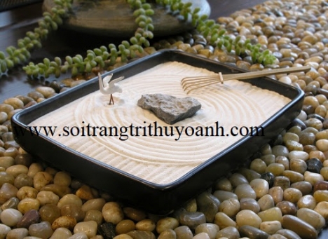 Sỏi vàng bóng độ bóng cao