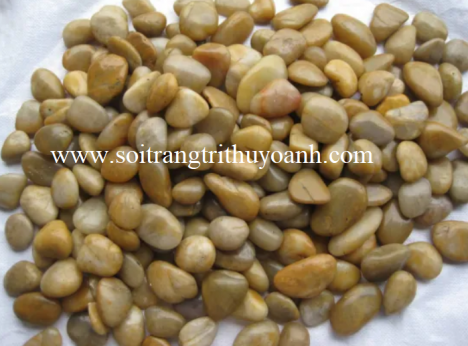Sỏi vàng bóng độ bóng cao