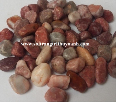 Sỏi trang trí tiểu cảnh