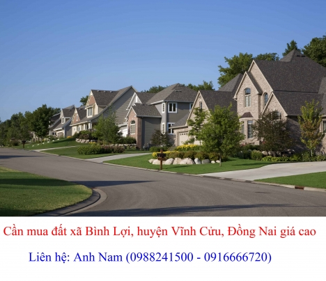 Cần mua đất đường Bến Đôi, đường Xóm Rạch, hương lộ 15, Hương lộ 7, xã Bình Lợi giá cao.