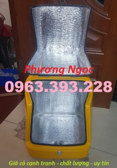 Thùng chở hàng, thùng ship hàng sau xe máy, thùng giao hàng nhựa composite