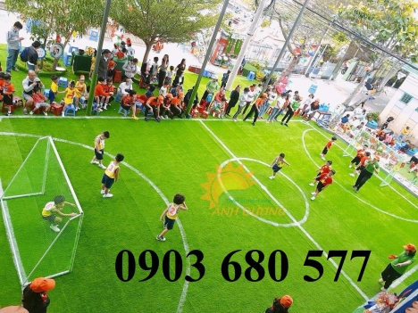 Thảm cỏ nhân tạo cho trường mầm non, công viên, quán cà phê, sân bóng