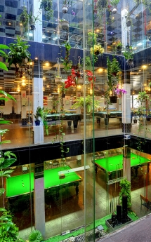Bảo Bình Billiards Club - Thế giới Bida đẳng cấp của bạn