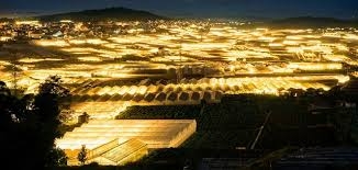 Đà Nẵng - Đà Lạt 3 ngày 2 đêm giá tour trọn gói chỉ hơn 2 triệu