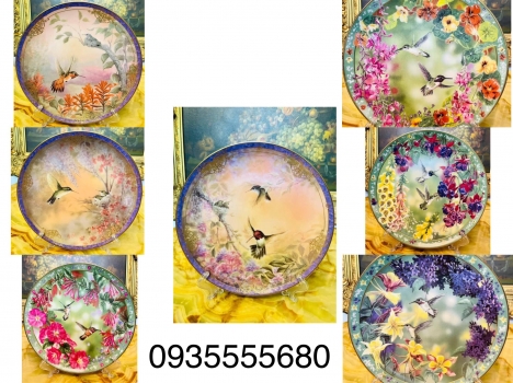 Giao lưu bộ đĩa hàng Anh cao cấp