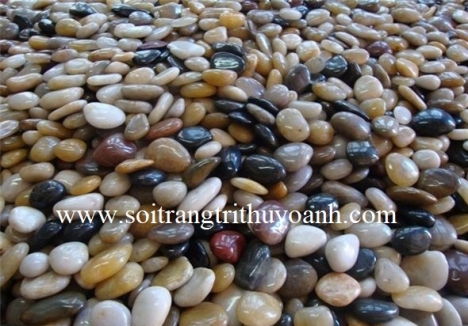 Sỏi bóng trang trí tiểu cảnh sân vườn