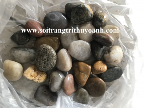 Sỏi bóng trang trí tiểu cảnh sân vườn