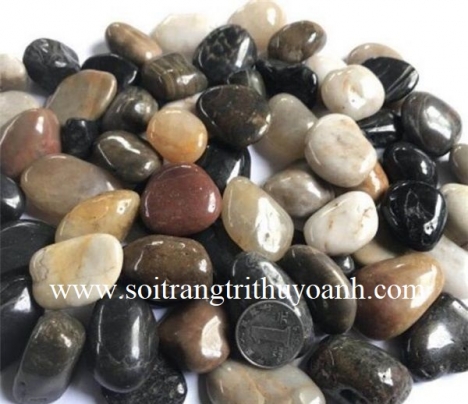 Sỏi bóng trang trí tiểu cảnh sân vườn