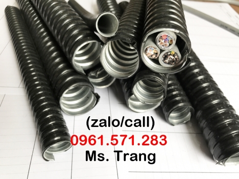 Ống thép đàn hồi độ bền cao phi 20, phi 25