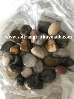 Sỏi bóng trộn các màu, sỏi bóng nhiều màu, sỏi bóng trang trí hcm