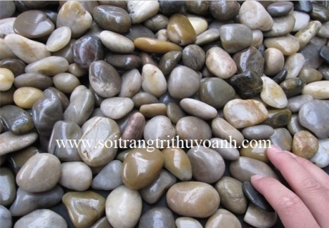 Sỏi bóng trộn các màu, sỏi bóng nhiều màu, sỏi bóng trang trí hcm