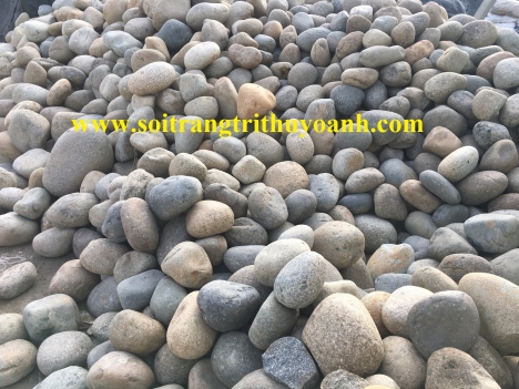 Đá cuội to, cuội tròn, cuội tự nhiên các loại