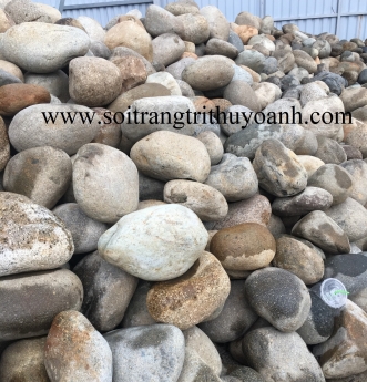 Đá cuội to, cuội tròn, cuội tự nhiên các loại