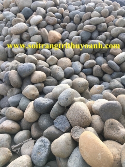 Đá cuội to, cuội tròn, cuội tự nhiên các loại