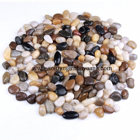 Sỏi bóng trộn các màu, sỏi bóng nhiều màu, sỏi bóng trang trí hcm