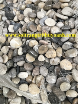 Sỏi bóng trộn các màu, sỏi bóng nhiều màu, sỏi bóng trang trí hcm