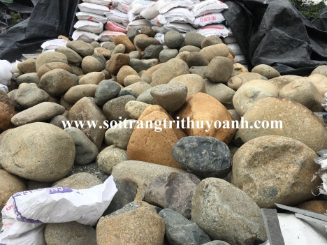 Đá cuội to, cuội tròn, cuội tự nhiên các loại