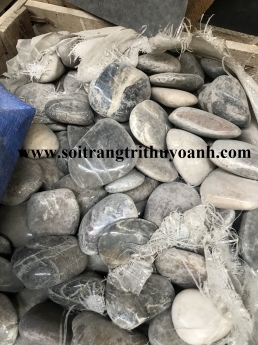 Sỏi bóng trộn các màu, sỏi bóng nhiều màu, sỏi bóng trang trí hcm