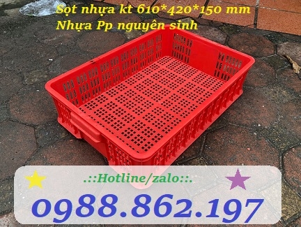 Sọt nhựa đựng rau,sọt nhựa hs008,sọt nhựa siêu thị,sóng nhựa rỗng hs008