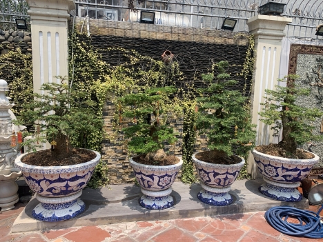 Chậu hoa - chậu trồng cây - chậu hoa công trình - chậu lam theo yêu cầu kích cỡsdgsdfgds