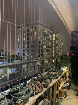 CC Cao cấp Tràng An Complex, 03PN, 93m2, tầng trung view Hồ Tây. Giá 3,85 tỷ.