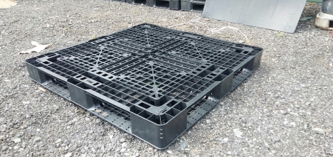 pallet nhựa rẻ Mỹ Tho, pallet nhựa cũ , pallet nhựa thanh lý, pallet nhựa Tiền Giang, pallet nhựa Lo