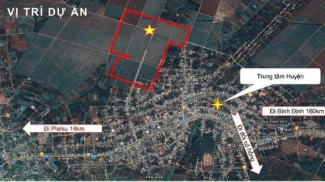 Bảng hàng TNR Stars Đăk Đoa giá tốt tháng 4/2021 lh 0978657589