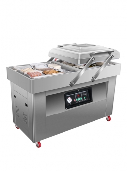 Máy hút chân không hai buồng DZ 500 0917791981