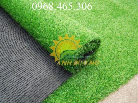Cỏ nhân tạo loại 2cm
