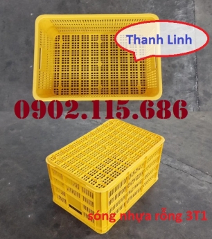 THÙNG NHỰA RỖNG (SÓNG HỞ) 3T1