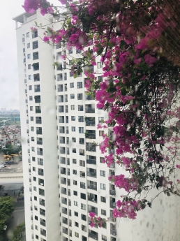 Căn 02PN nhỏ xinh, tầng trung, ban công Đông Nam mát mẻ, giá chỉ 2 tỷ CC Green Stars, TP Giao Lưu