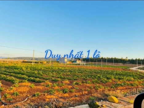 Chính chủ bán đất Thạnh Mỹ - Đơn Dương - Lâm Đồng, có thổ cư giá 480 triệu