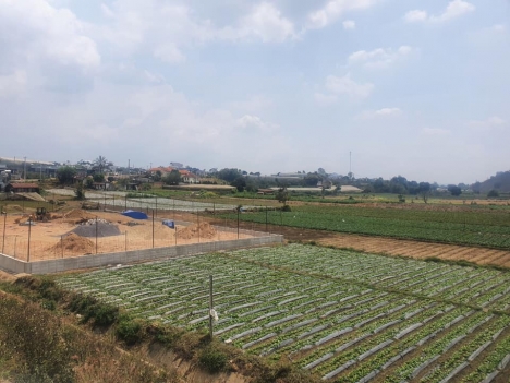 Đất Đà Lạt, có thổ cư, sổ hồng riêng, view sông Đa Nhim giá 390 triệu