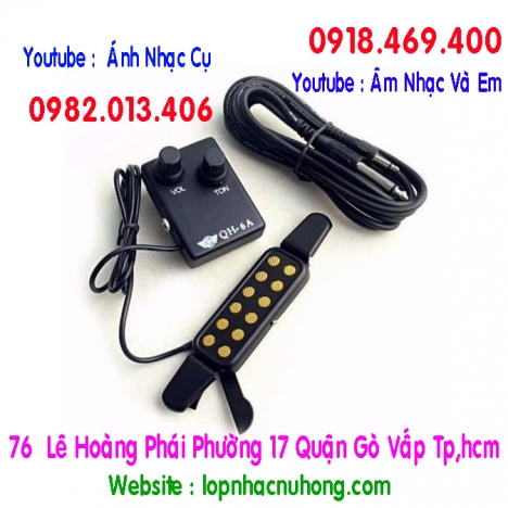 Pickup đàn guitar thùng tại TP.HCM
