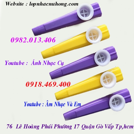 Kèn kazoo hiệu hohner giá tốt, nhiều màu đẹp