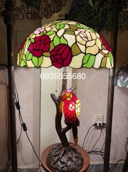 Đèn vẹt hoa hồng rực rỡ 