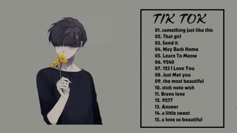 Những ca khúc tik tok remix hay hiện nay