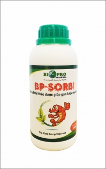 Nguồn cung cấp iodine diệt khuẩn ao tôm đậm đặc tại Khánh Hòa