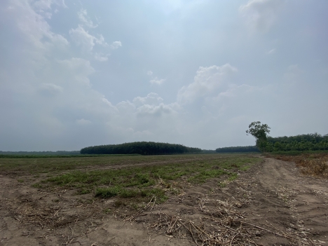 CẦN BÁN LÔ ĐẤT TẠI TÂN HIỆP, THỊ TRẤN TÂN CHÂU, TỈNH TÂY NINH.